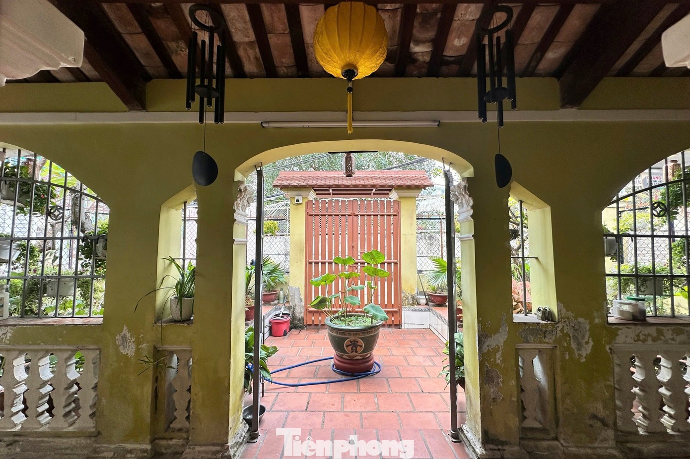 Nha co TP.HCM anh 22