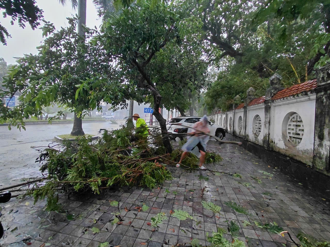 Bao so 5 Kajiki anh 2