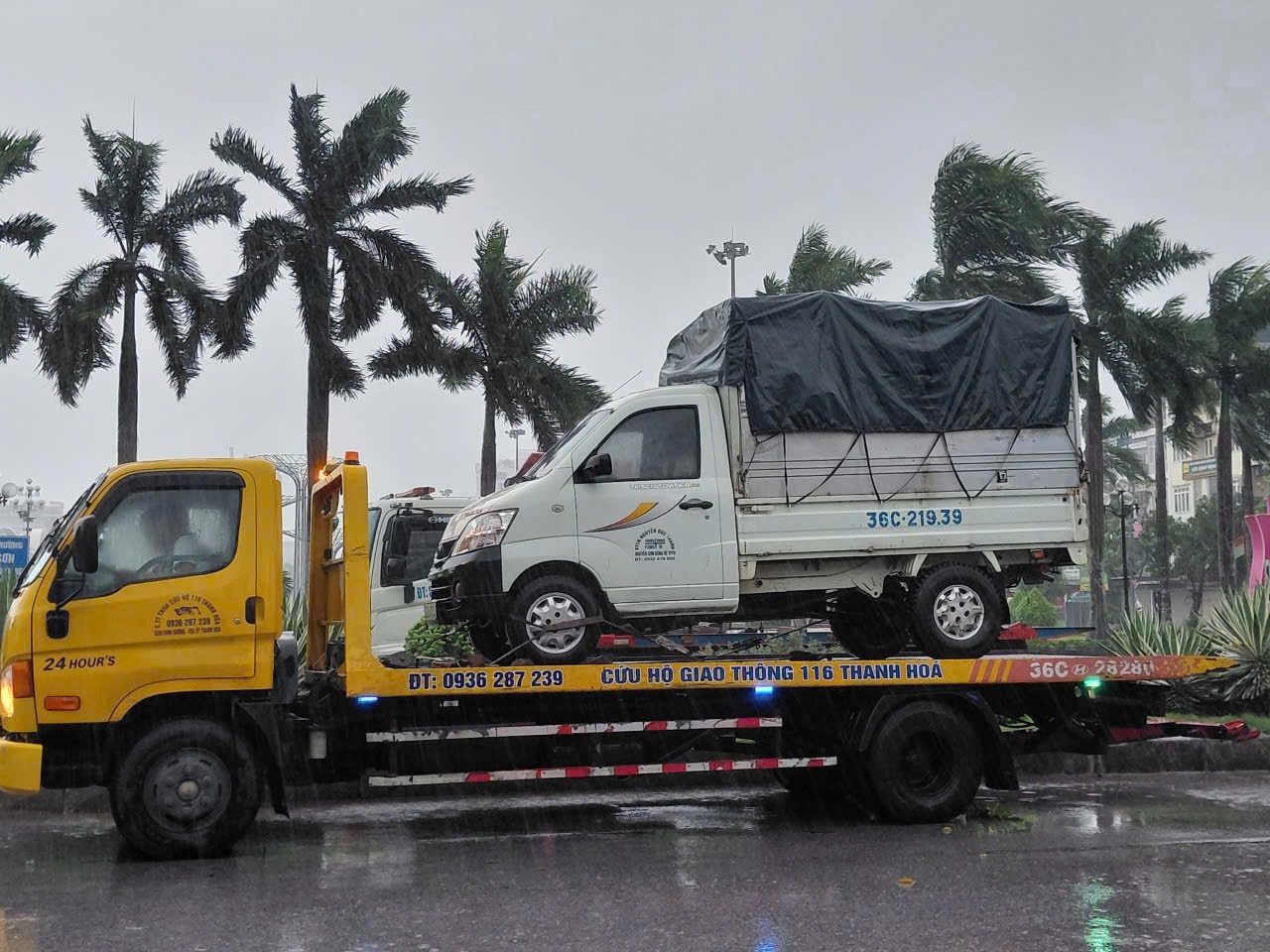 Bao so 5 Kajiki anh 6