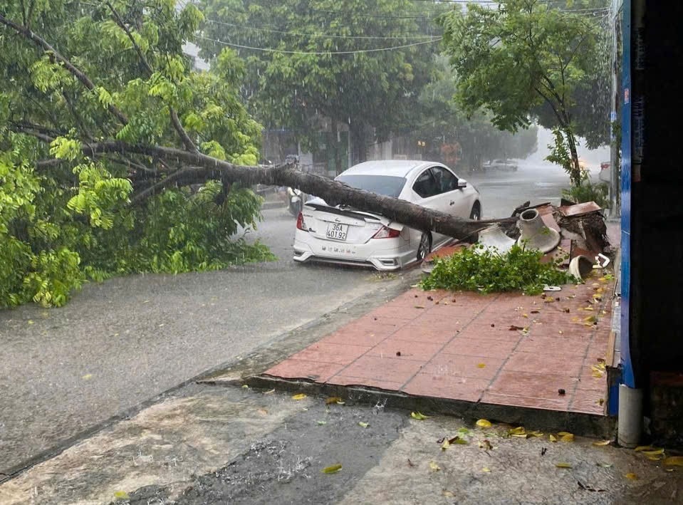 Bao so 5 Kajiki anh 8