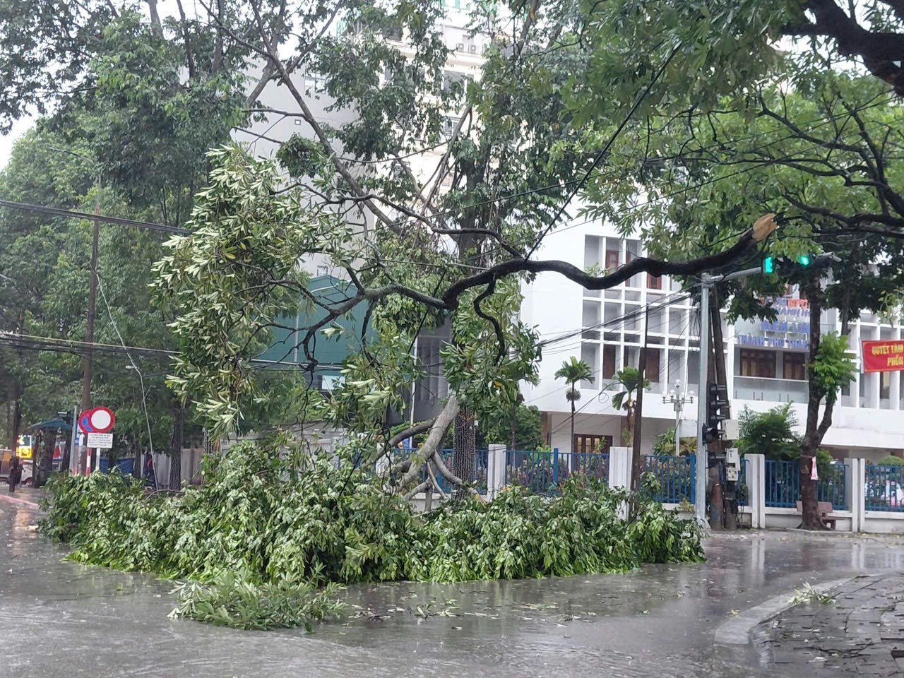 Bao so 5 Kajiki anh 9