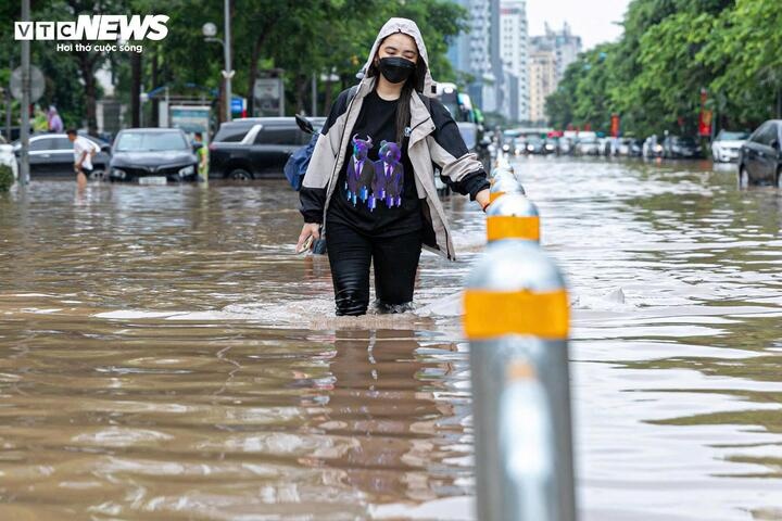 Bao Kajiki cau Phong Chau anh 1