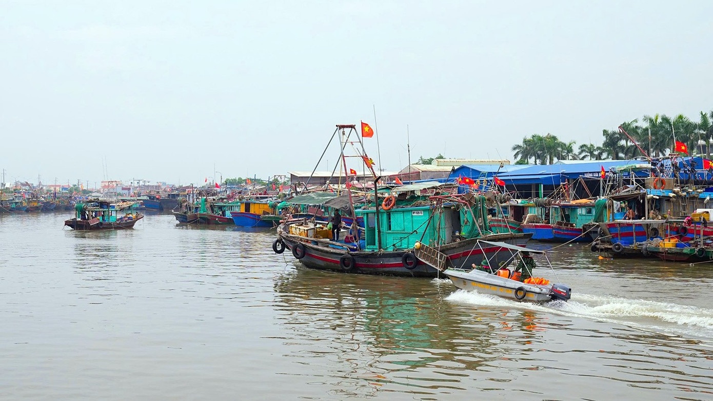 Bao so 5 Kajiki anh 1