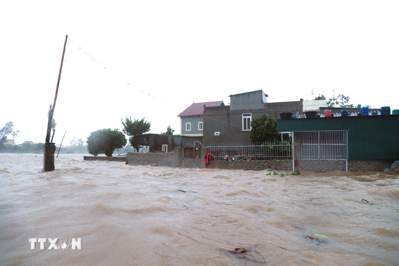 Bao so 5 Kajiki anh 1