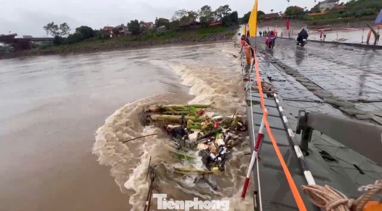 Bao Kajiki cau Phong Chau anh 1