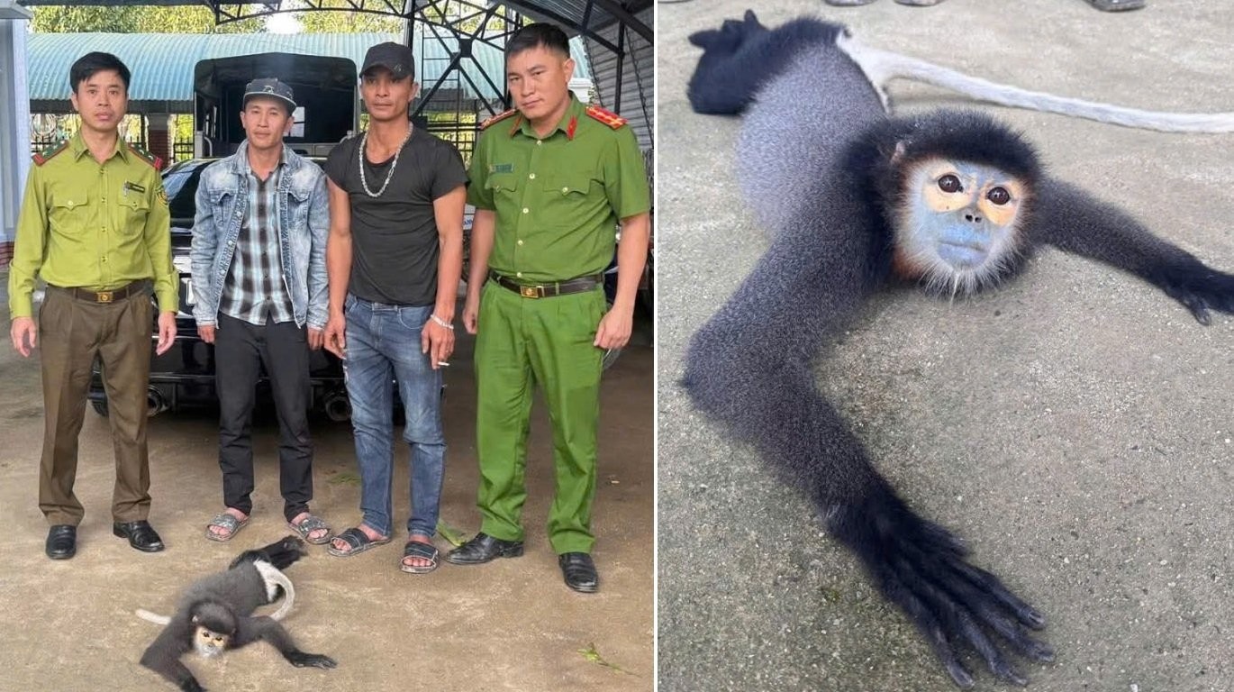 Mot ca the nam trong Sach do Viet Nam va the gioi vua duoc cuu hinh anh