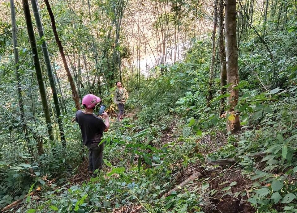 Nut nui Nghe An anh 1