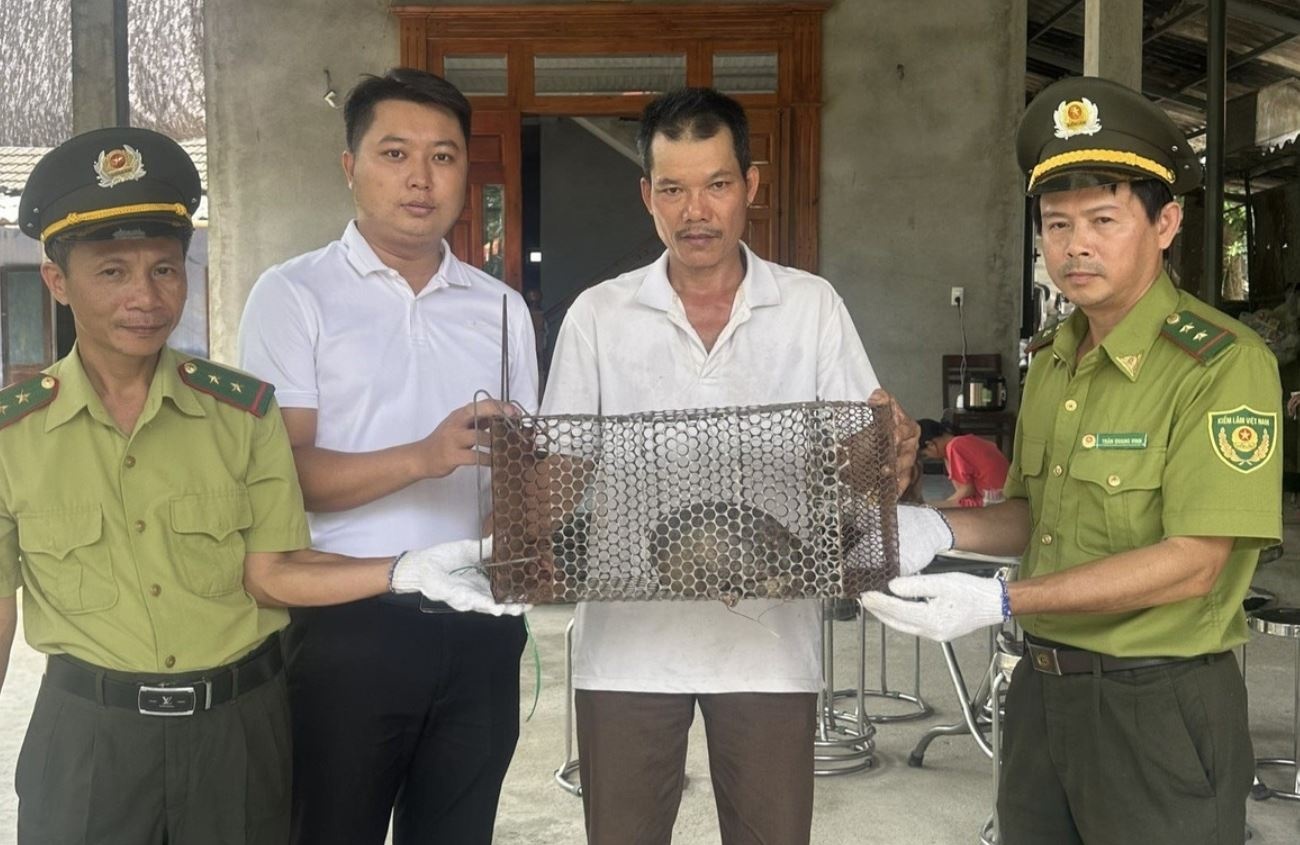 Con vat hoang da cuc ky quy hiem duoc giao nop o Hue hinh anh