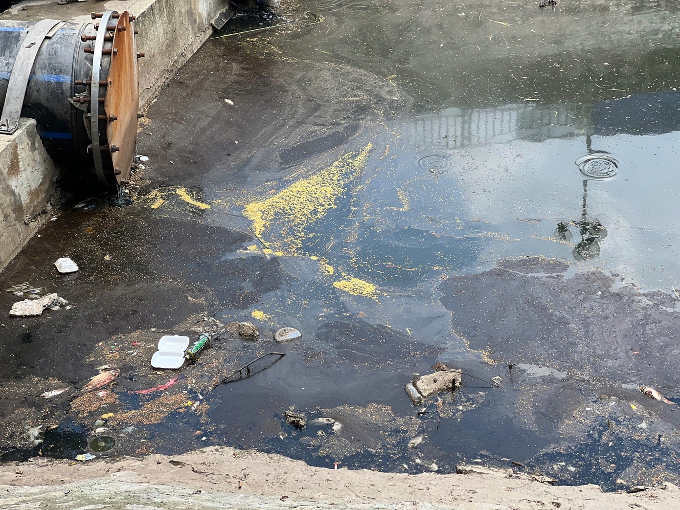 Song To Lich den lai anh 2