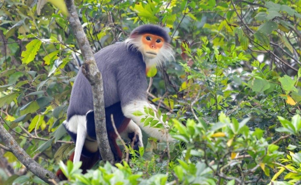 Quan the 'Nu hoang linh truong' cuc ky quy hiem o Hue hinh anh