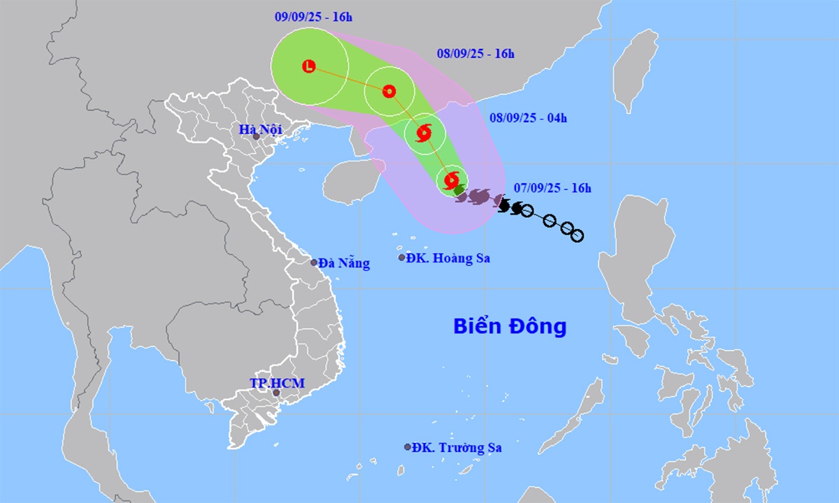 anh huong bao so 7 anh 1