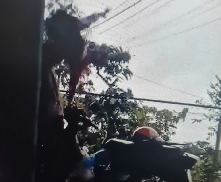 Bao hanh be trai anh 1