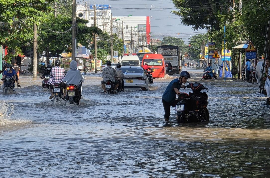 Ben Ninh Kieu lai chim trong nuoc trieu hinh anh