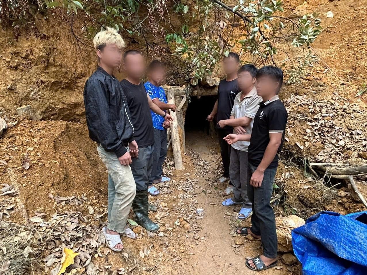 Dao vang anh 1
