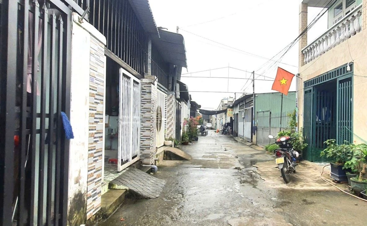 ‘Xay nham’ gan 50 can nha tren dat cua nguoi khac o TP.HCM hinh anh