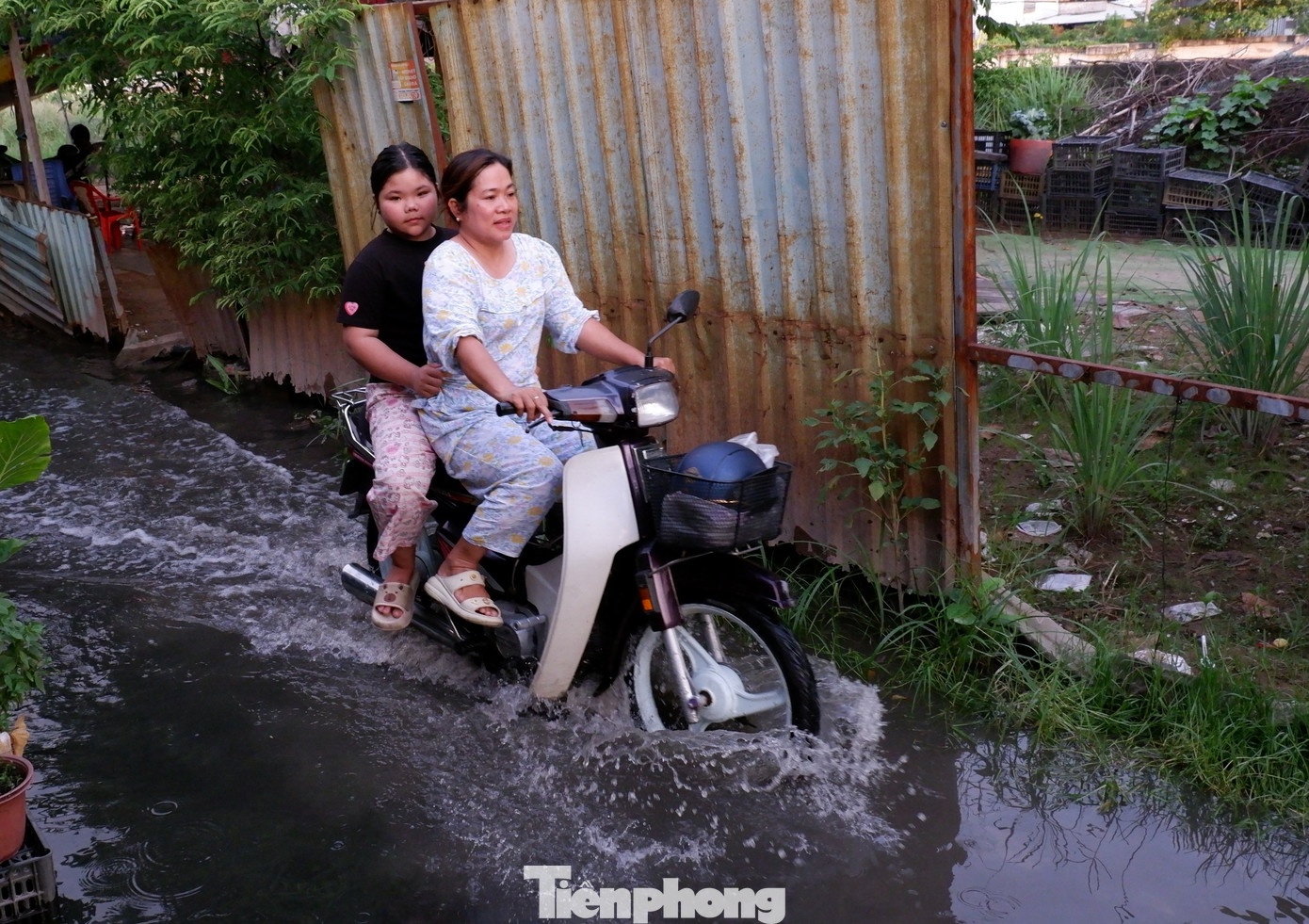 Tat nuoc cong Phu Dinh anh 10