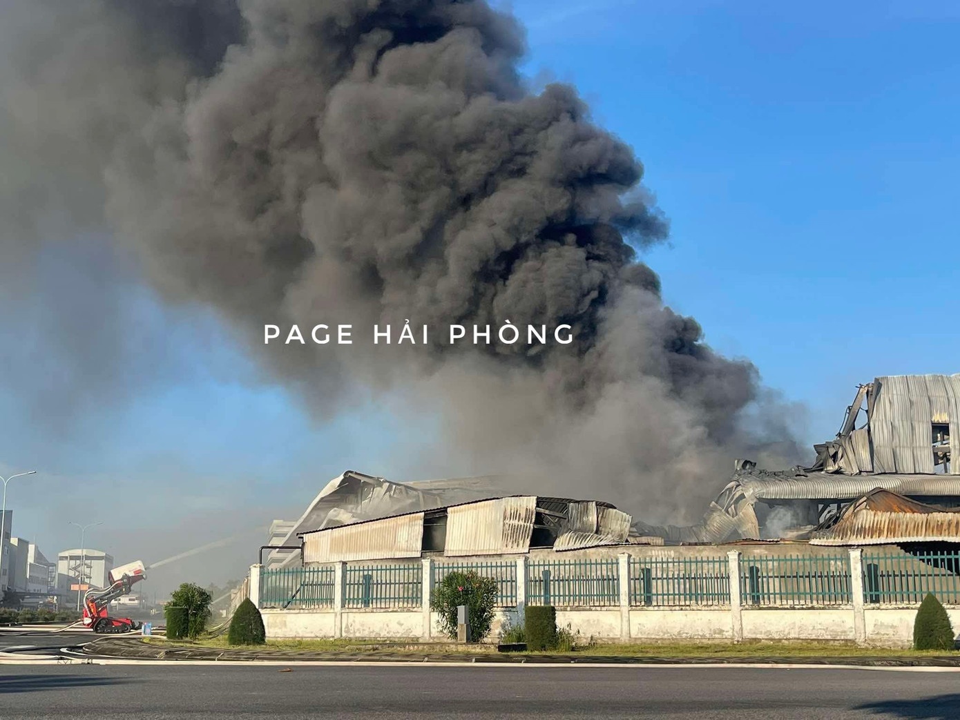Chay Do Son Hai Phong anh 2