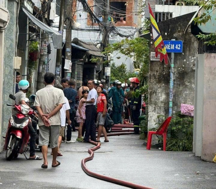 Nguoi dan ong dung dao tan cong hang xom roi co thu trong nha o TP.HCM hinh anh