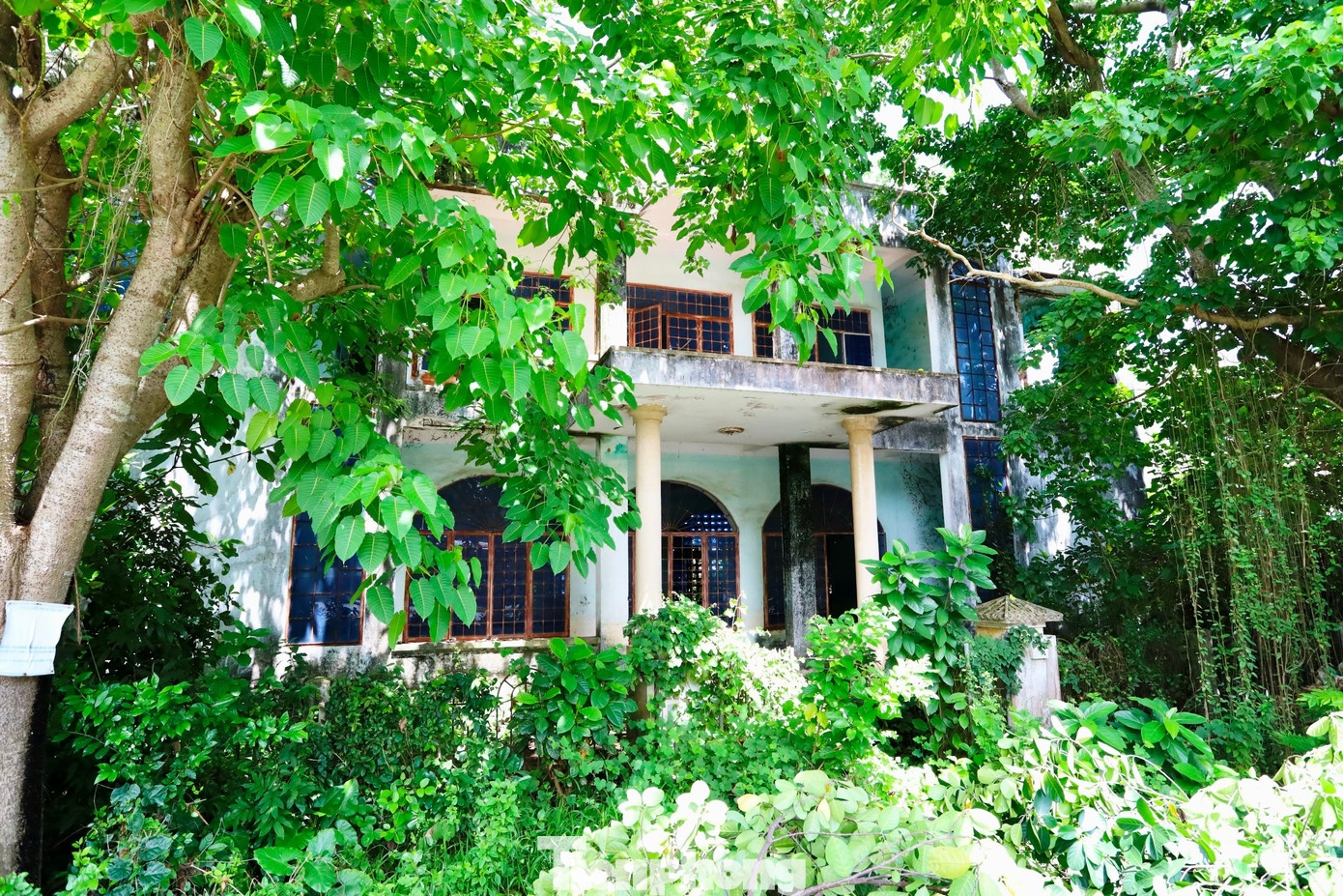 Nha bo hoang Hue anh 12