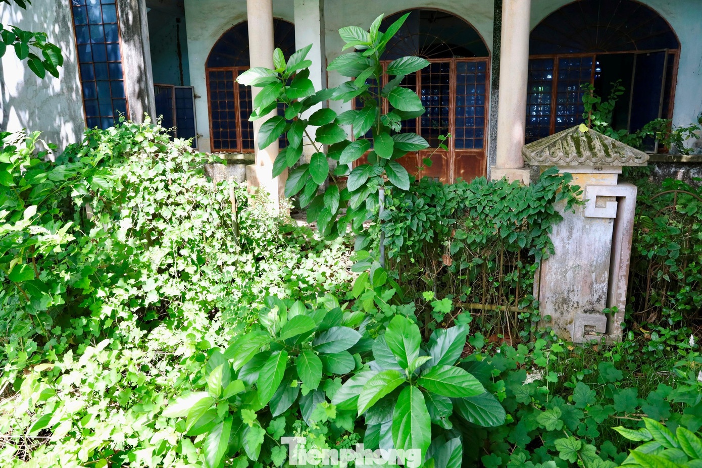 Nha bo hoang Hue anh 2
