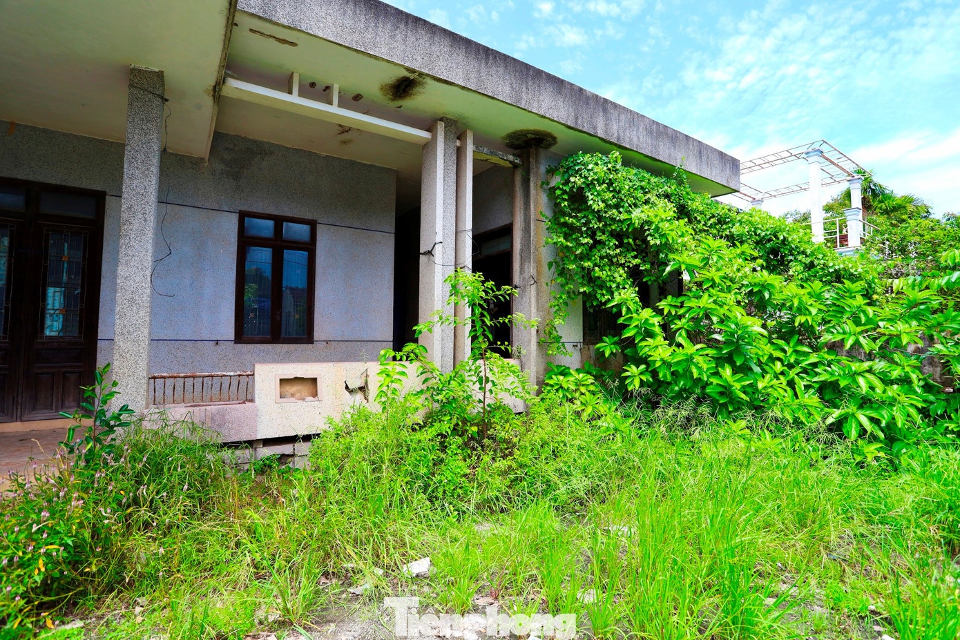 Nha bo hoang Hue anh 7