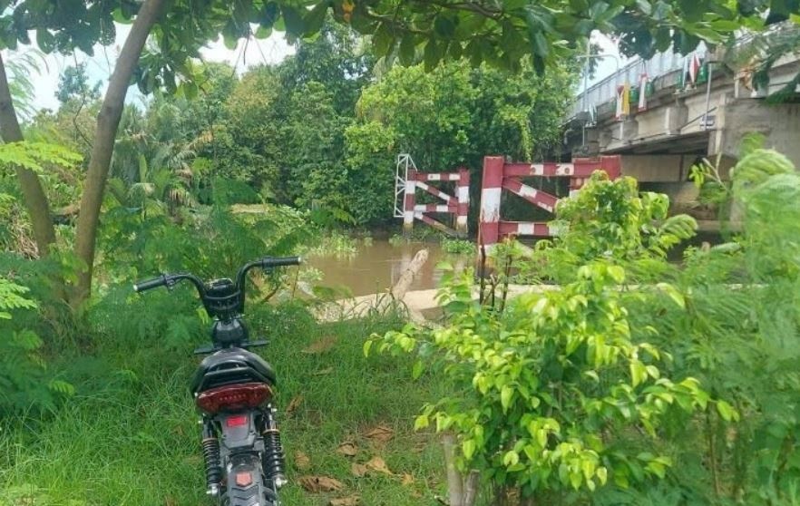 Thanh nien mat tich khi cau ca duoi chan cau o TP.HCM hinh anh