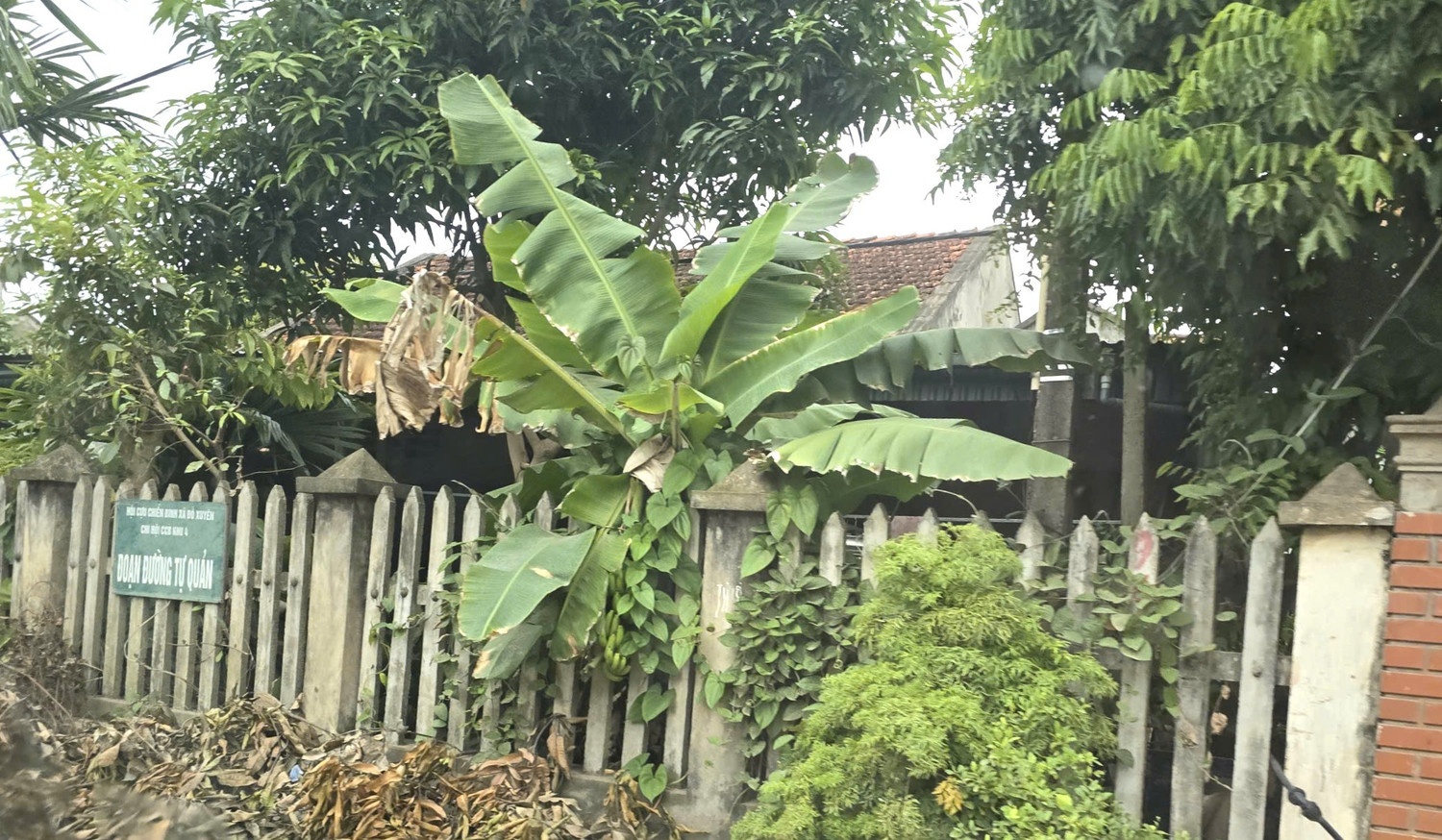 giet vo va tinh dich anh 1