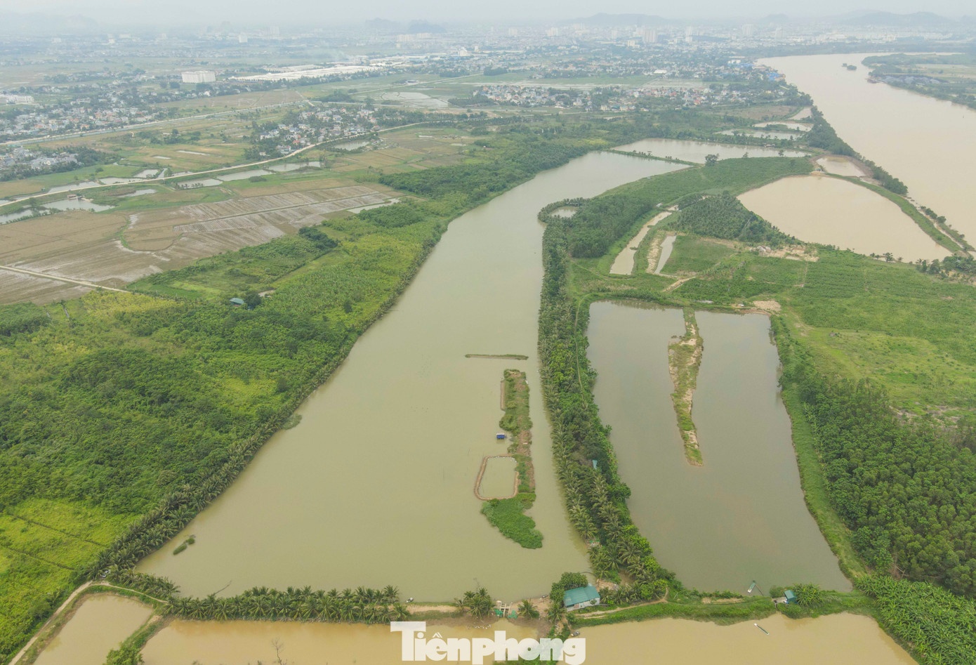 Trang tay vi bao Bualoi anh 2