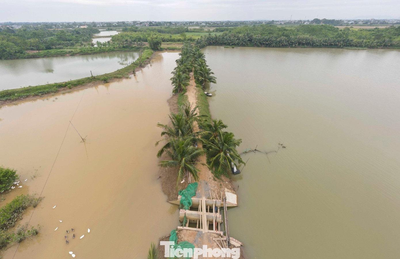 Trang tay vi bao Bualoi anh 3