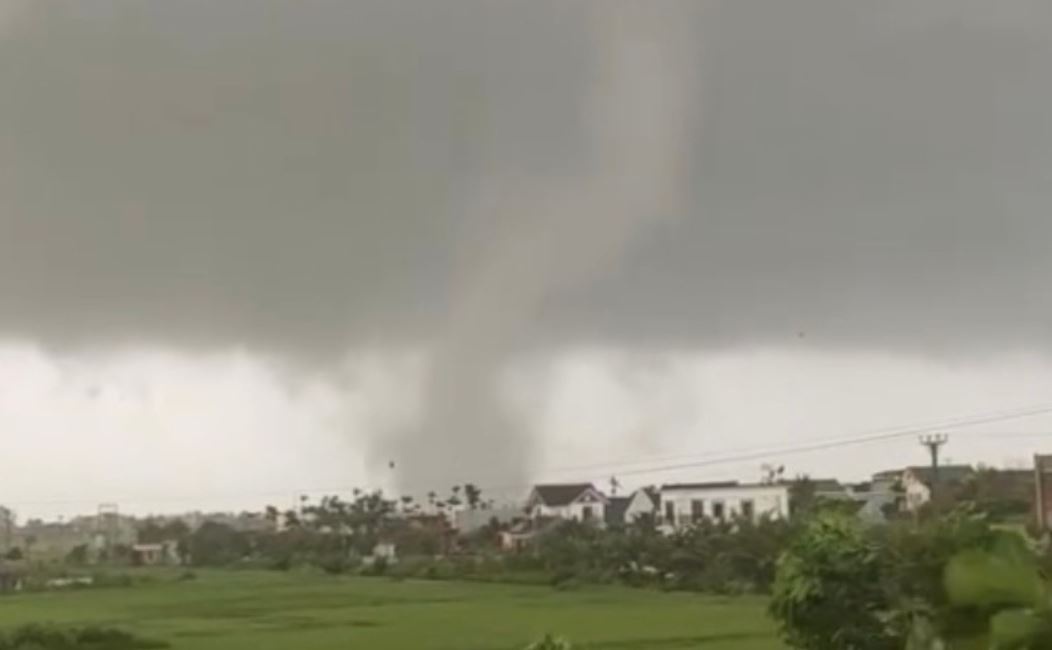 Voi rong xuat hien o Hai Phong hinh anh