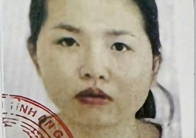 Truy tim 'chu hui online' om 4 ty dong roi bo tron hinh anh