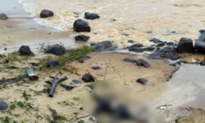 Thi the dat vao bo bien Quang Tri la nam sinh lop 11 hinh anh