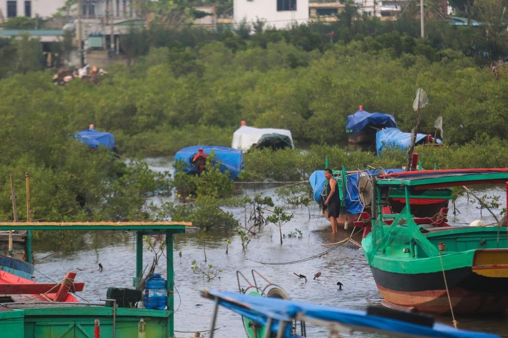 Nguoi Ha Tinh tat bat gia co nha cua, dua tau thuyen vao bo tranh bao hinh anh