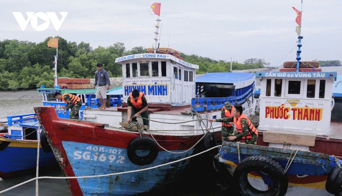 Bao Bualoi anh 1