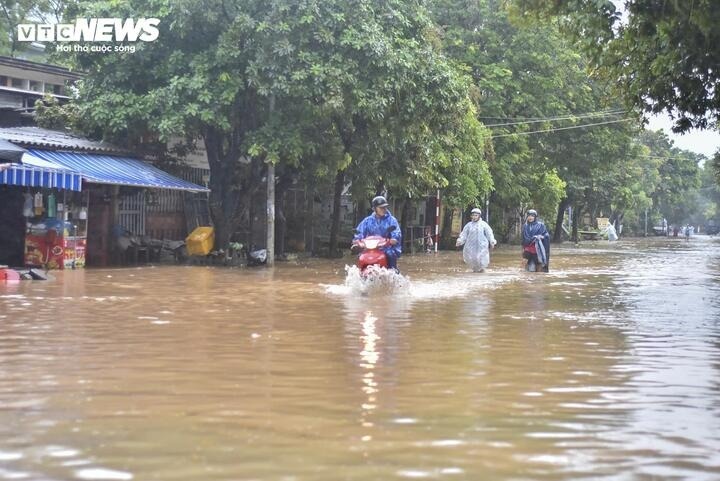 bao Bualoi anh 1