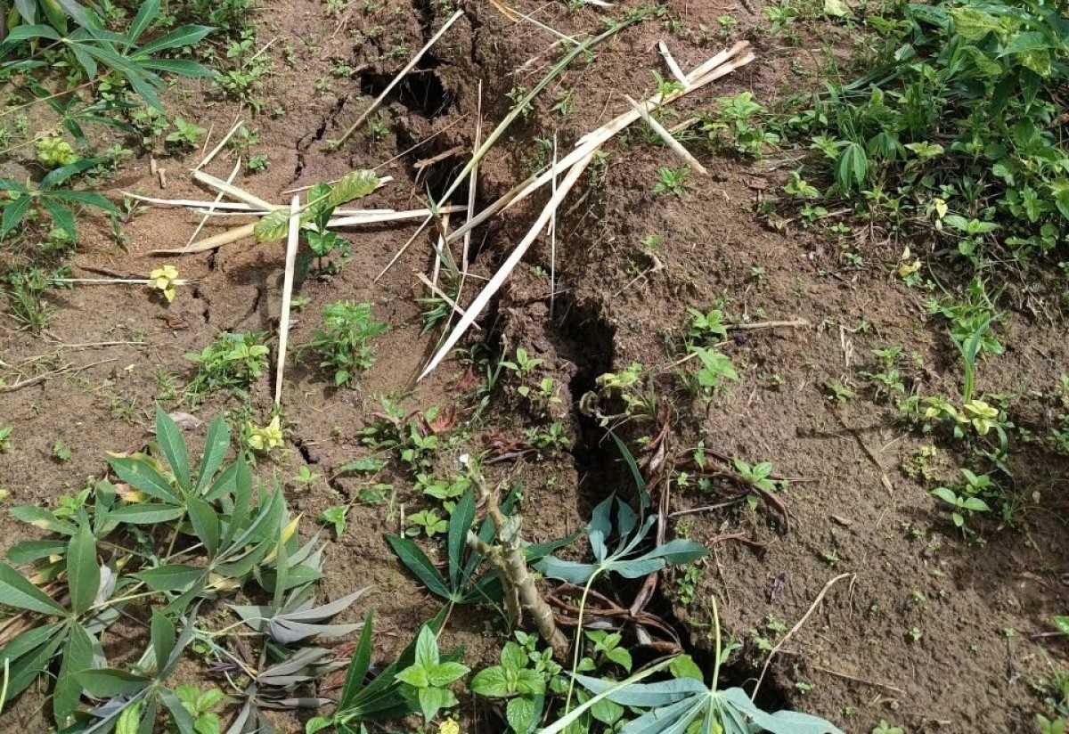 Nui bat ngo nut dai 200m o Quang Ngai, di doi 12 ho dan hinh anh