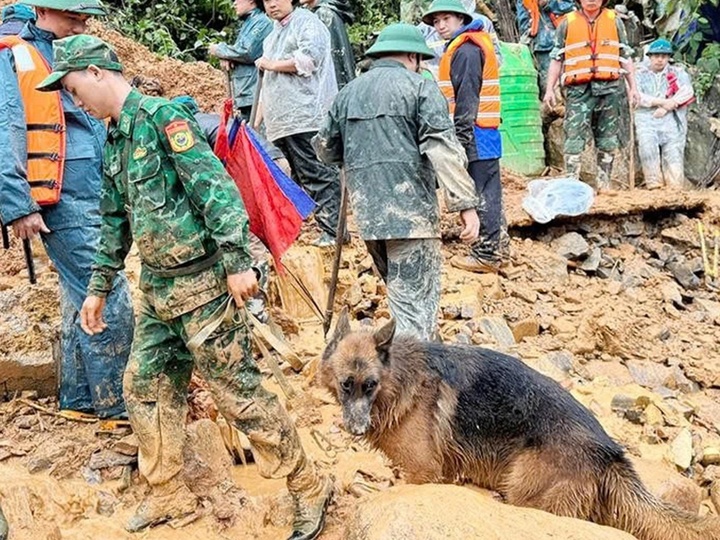 Sat lo Tuyen Quang anh 2