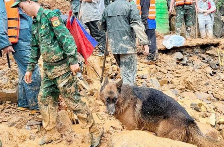 Hon 200 nguoi va cho nghiep vu tim 4 nan nhan vu sat lo hinh anh