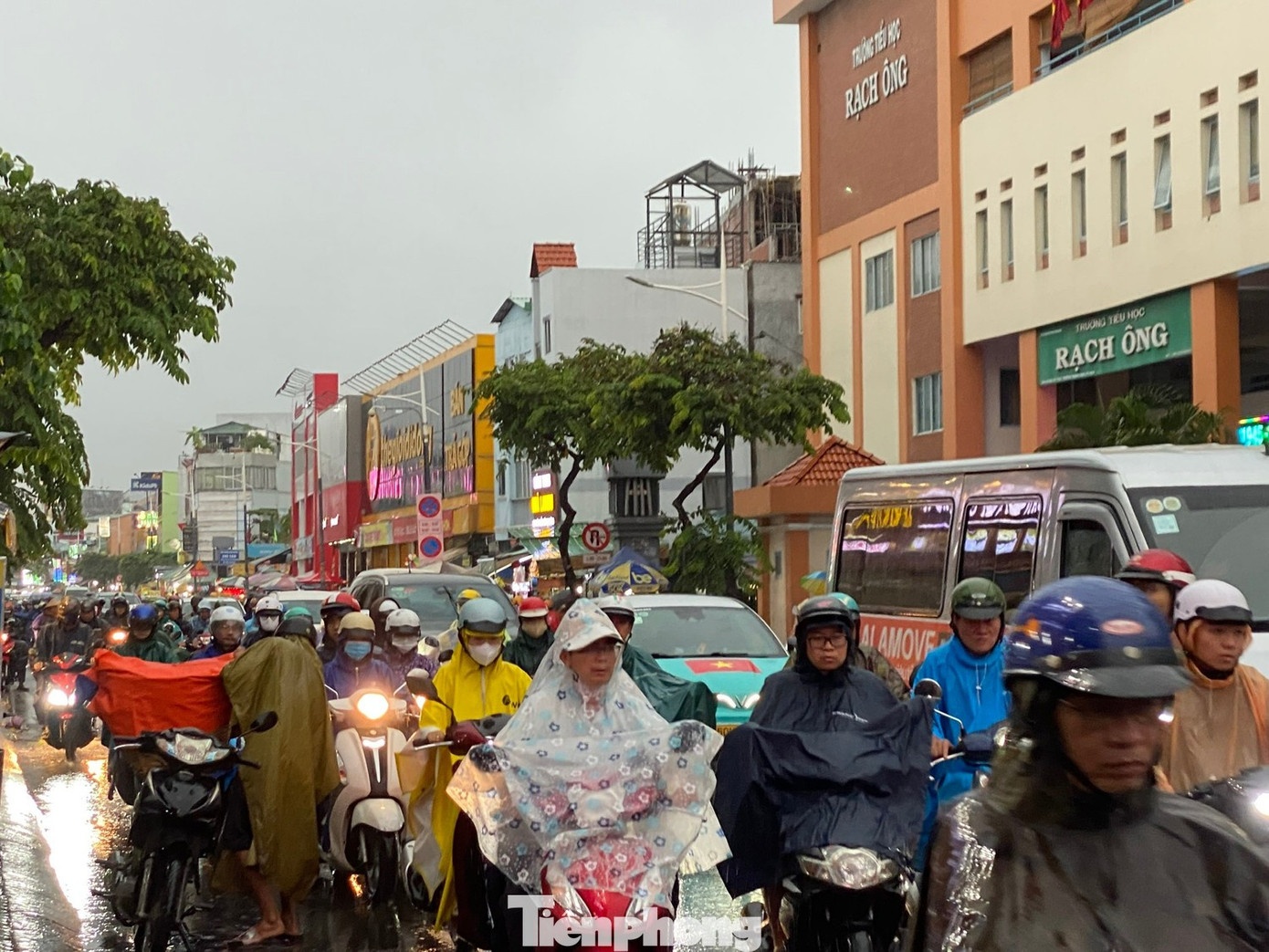 TP.HCM dong cua truong hoc anh 1