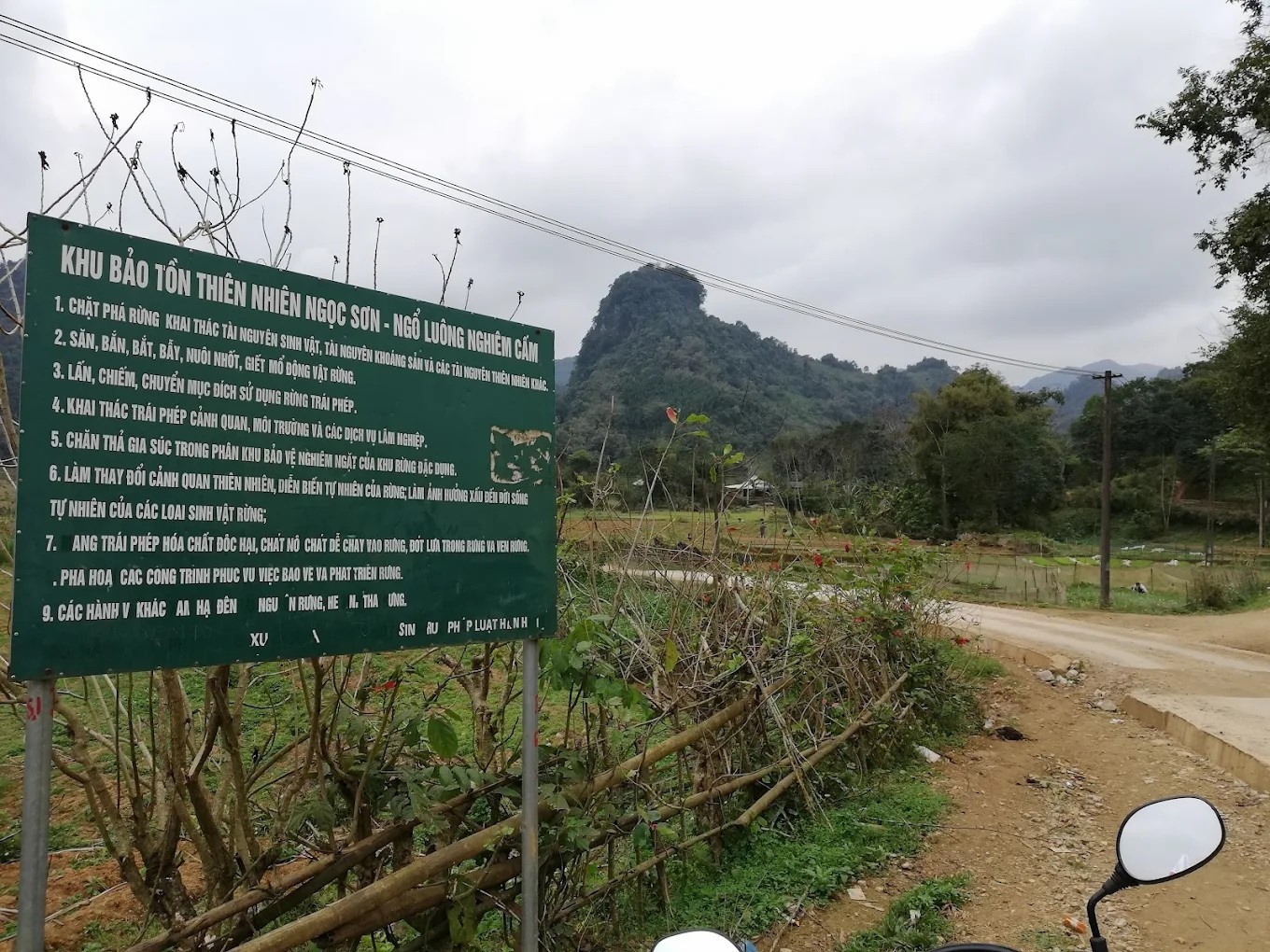 Ho Ngoc Son Phu Tho anh 1