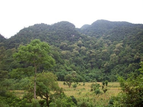 Ho Ngoc Son Phu Tho anh 2