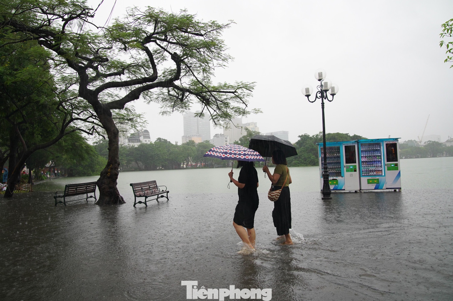 nuoc ho Guom tran bo anh 3