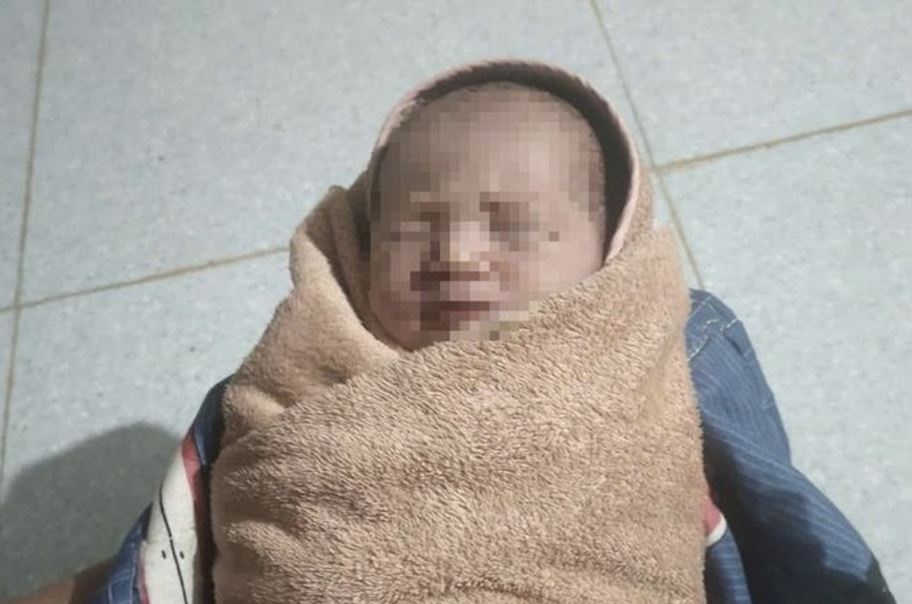 Me ruot den nhan lai con sau khi bo roi duoi goc cay hinh anh