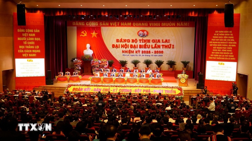Thai Dai Ngoc Gia Lai anh 1