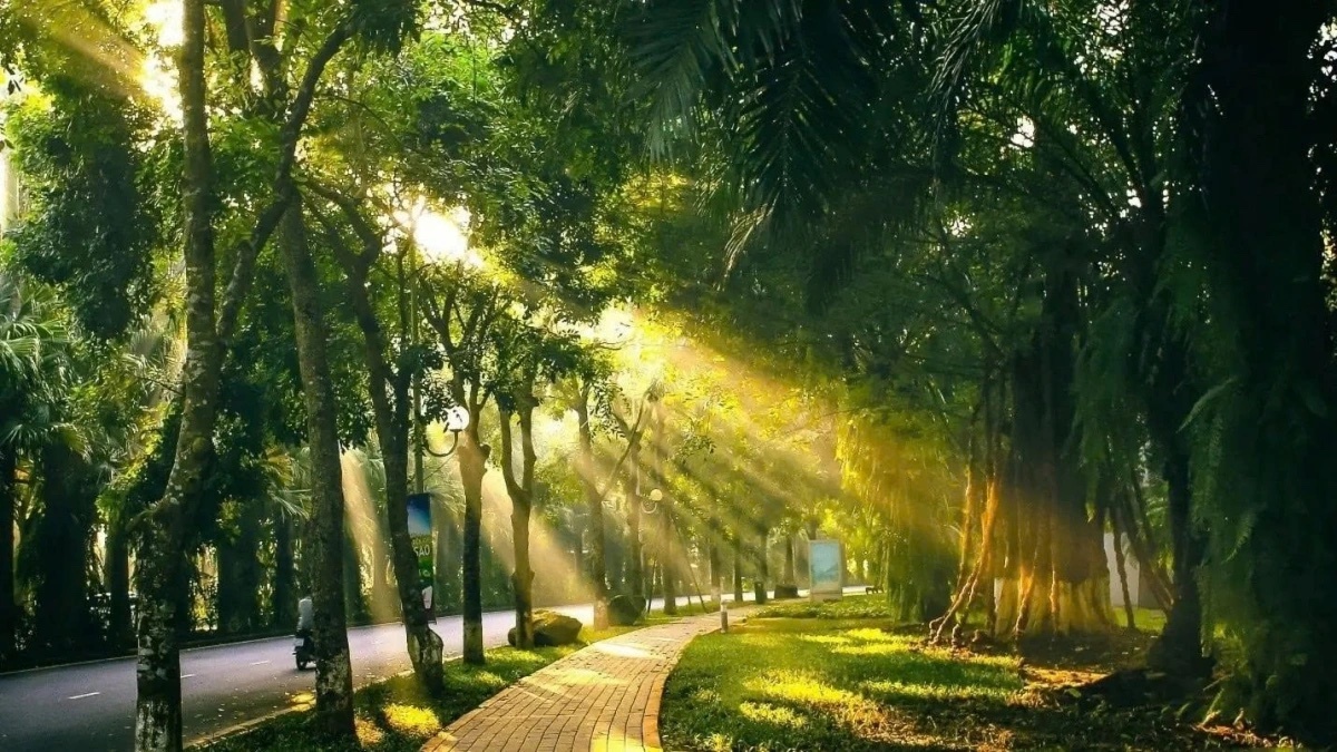 du bao thoi tiet anh 1