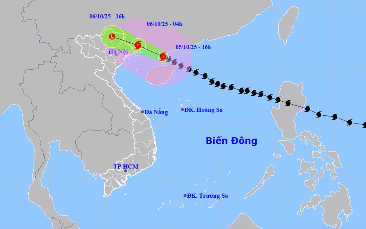 bao so 11 do bo anh 1