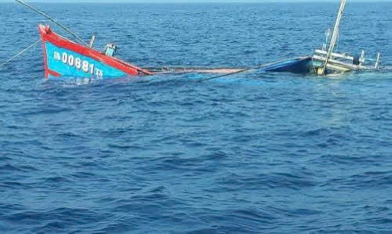 Tau ca Binh Dinh cung 11 ngu dan bi tau la tong chim hinh anh