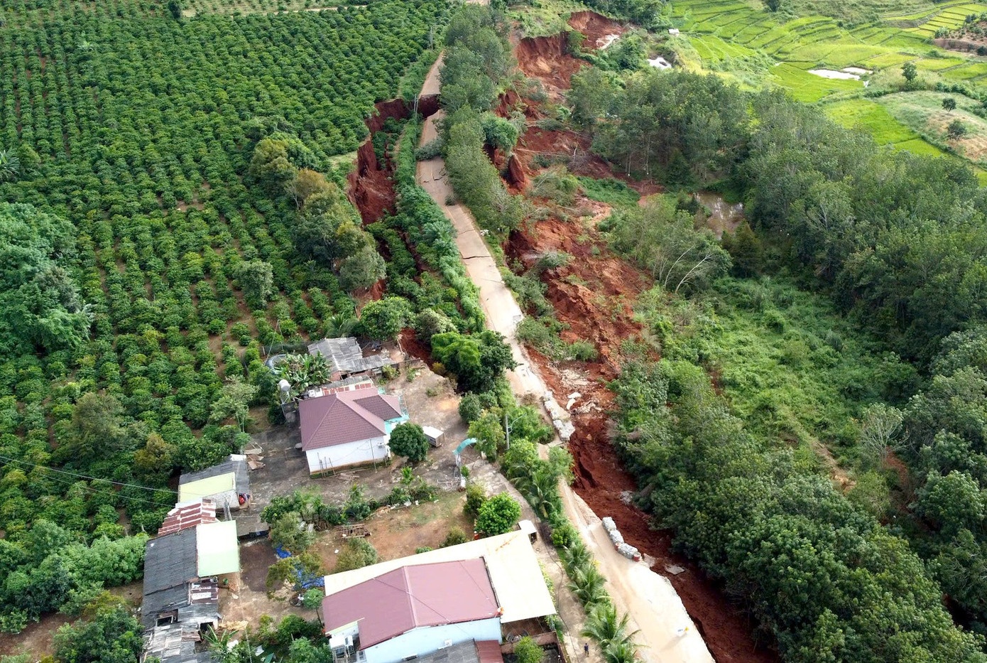 Vuc Ia Ly Gia Lai anh 5