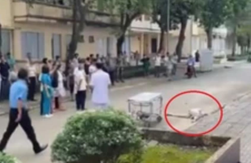 Cu ong tu vong duoi san benh vien o Dong Nai, nghi roi lau hinh anh