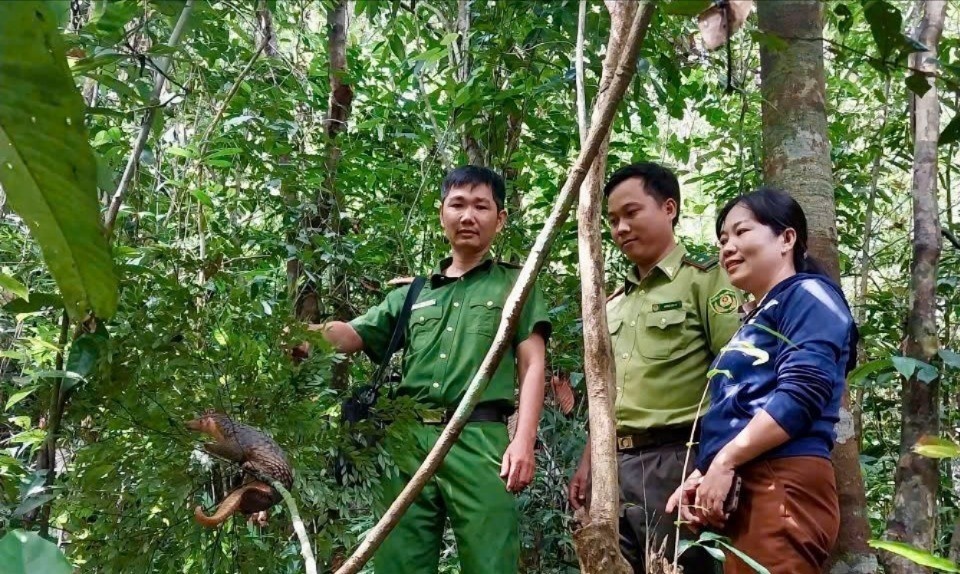 Te te Java quy hiem anh 3